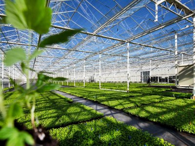 Van der Avoird Trayplant geeft grond terug aan natuur en maatschappij