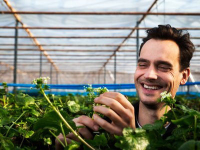 Dutch Wasabi: Hoe een IT-consultant succesvol wasabi leerde telen in Nederland