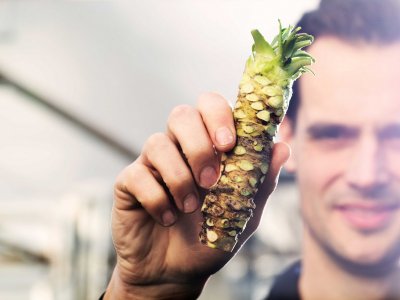 Sander van Kampen: “We hebben bewezen dat wasabi een rendabele teelt is”