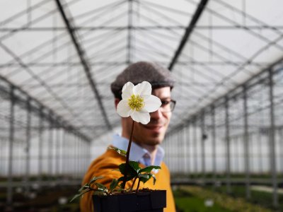 Griffioen Wassenaar: “We redeneren achteruit voor onze teeltkeuzes”