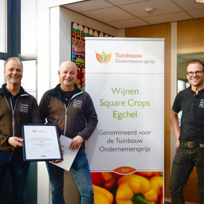 Winner 2022: Wijnen Square Crops