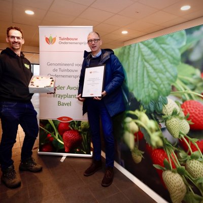 Van der Avoird Trayplant