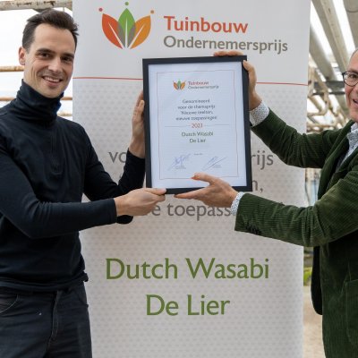 Dutch Wasabi