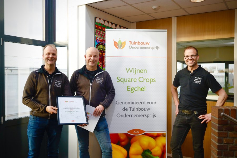 Winnaar 2022: Wijnen Square Crops