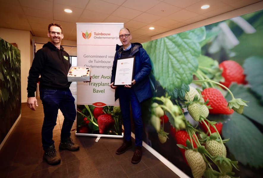Van der Avoird Trayplant